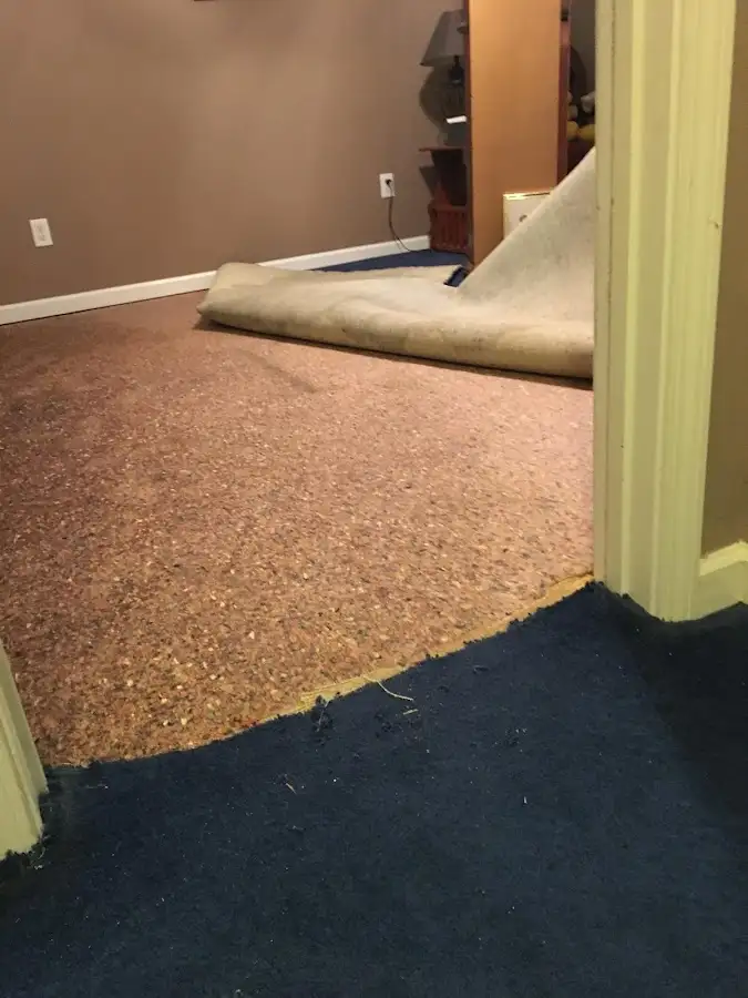 Carpet pad removal revealing water damage during Drying & Dehumidification in Hanson